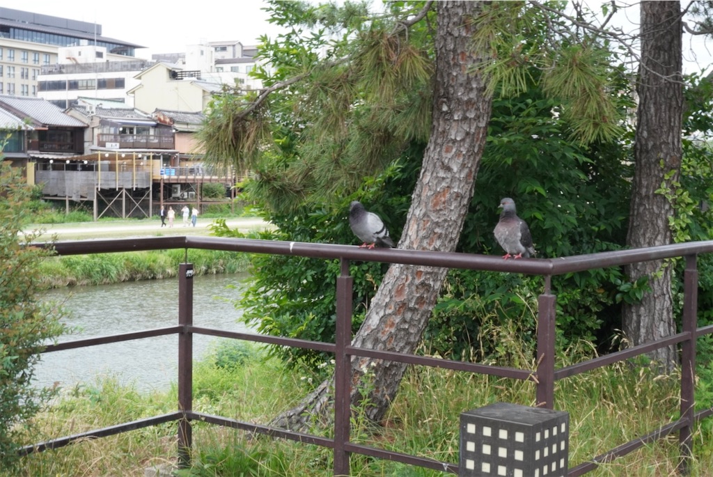 f:id:meeeko607:20260628215200j:image
