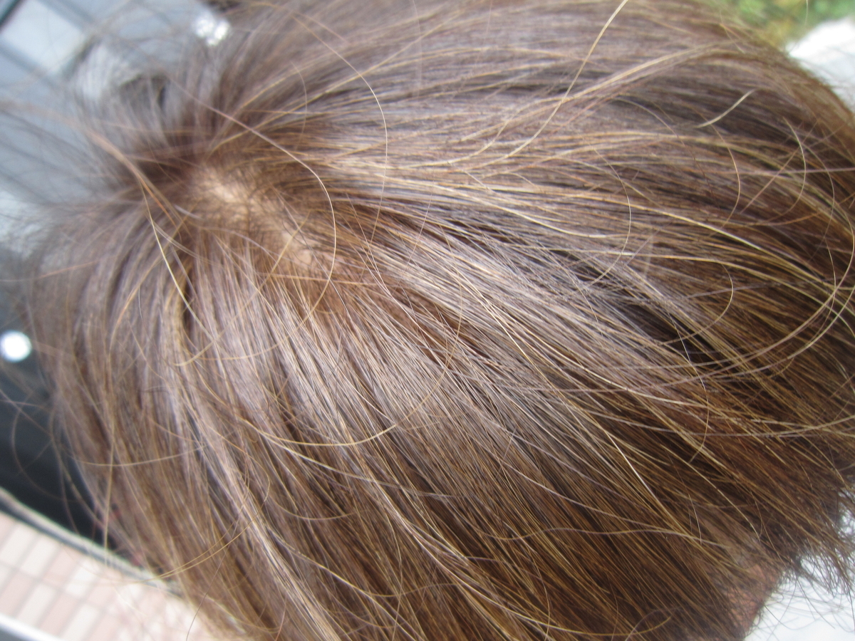 f:id:meeenjoi:20200516195155j:plain f:id:meeenjoi:20200516195155j:plain