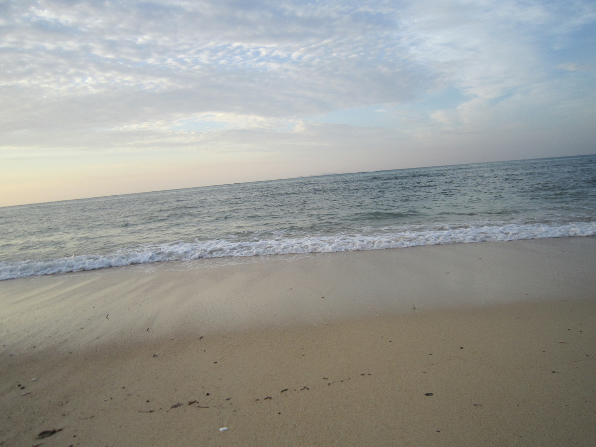 f:id:meeenjoi:20200522204819j:plain f:id:meeenjoi:20200522204819j:plain