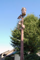 20090816020038