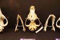 20250703202109