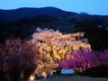 [宇陀市][大宇陀][又兵衛桜]2008年4月12日の瀧桜