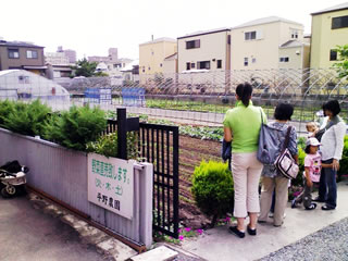 [大阪][江坂][Osaka][Esaka][平野農園]