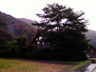 [観光][岐阜][白山][Gifu]