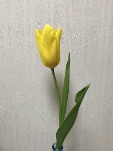 f:id:meettwo32:20210321165202j:plain