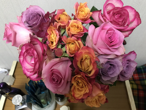 f:id:meettwo32:20210321165311j:plain