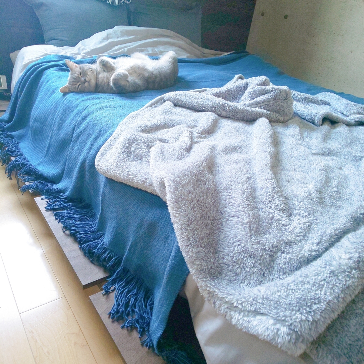 f:id:meg-max:20191218170743j:plain f:id:meg-max:20191218170743j:plain