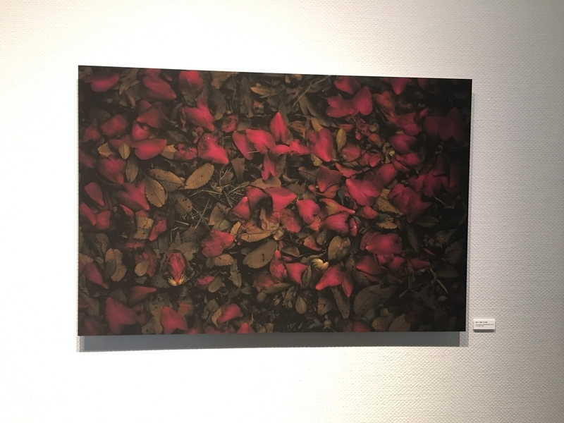 落合陽一さんの写真展「質量への憧憬」に行って来ました - 美術部部室