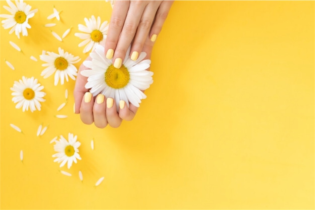 f:id:meg54:20190619161212j:image