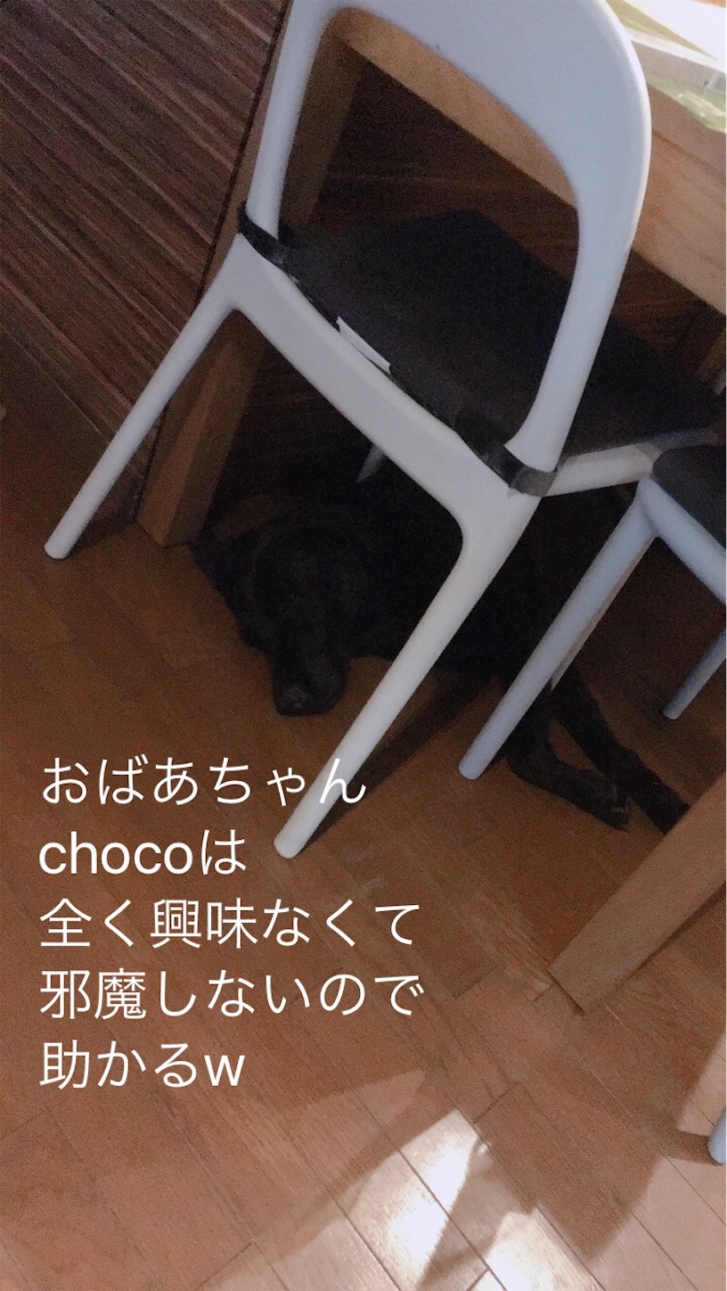 f:id:meg78:20200705213741j:image f:id:meg78:20200705213741j:image