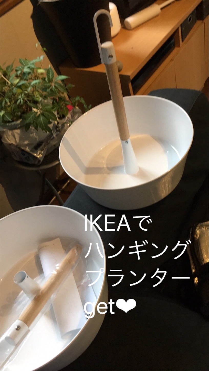 f:id:meg78:20200726172450j:image f:id:meg78:20200726172450j:image