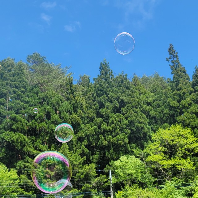 f:id:meg_hello2019:20240519120041j:image