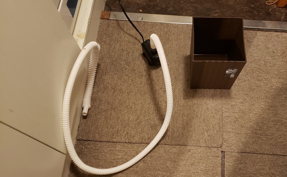 f:id:megaciso:20190403222326j:plain