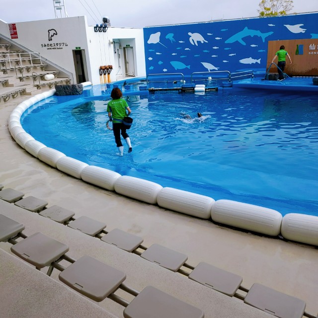 f:id:megacsc53:20200605162539j:image