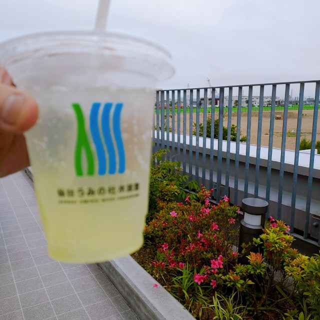 f:id:megacsc53:20200605162612j:image