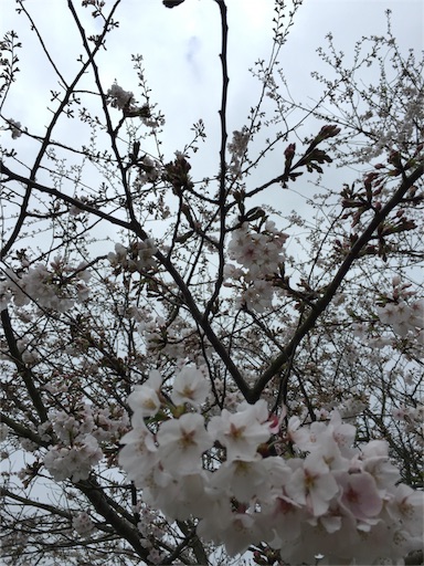 f:id:megaenjoymylife:20170327060803j:image:w200 f:id:megaenjoymylife:20170327060803j:image:w200