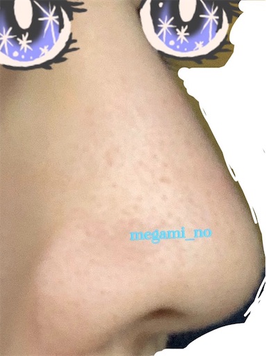 f:id:megami_no:20190125190535j:image f:id:megami_no:20190125190535j:image