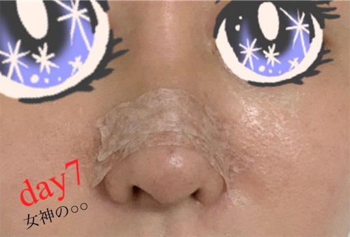f:id:megami_no:20210414152421j:image