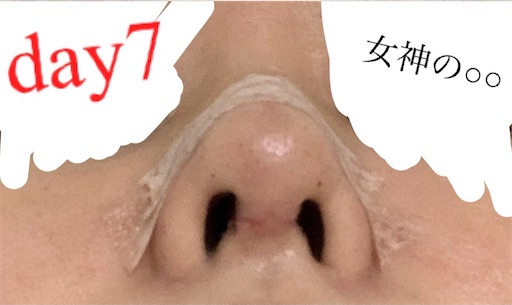 f:id:megami_no:20210414152427j:image