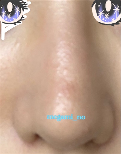 f:id:megami_no:20210414155143j:image