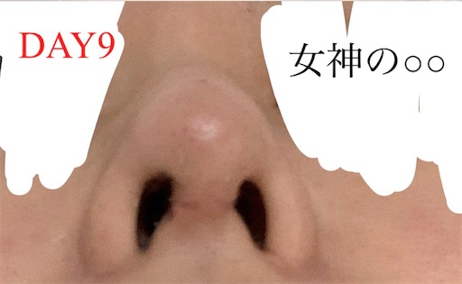 f:id:megami_no:20210416115023j:image