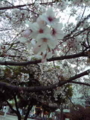 20100407181247