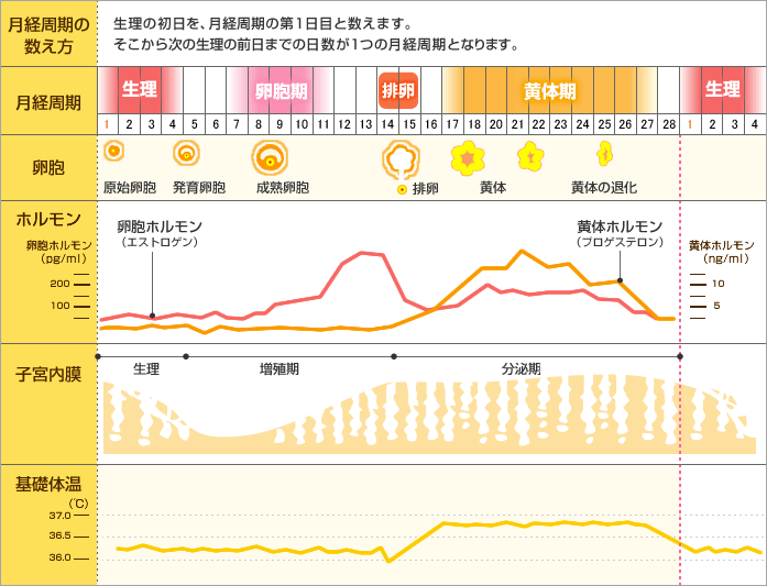 f:id:megane-pen:20190209095744p:plain