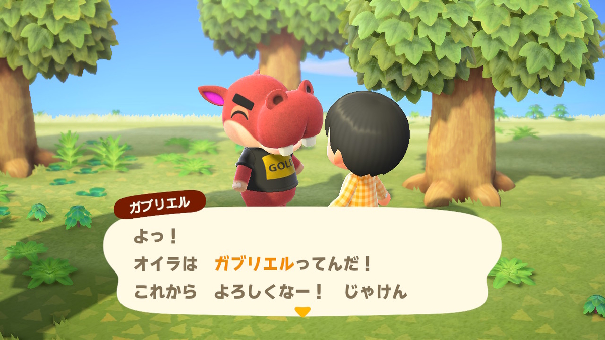 f:id:megane3gou:20200320163247j:plain f:id:megane3gou:20200320163247j:plain