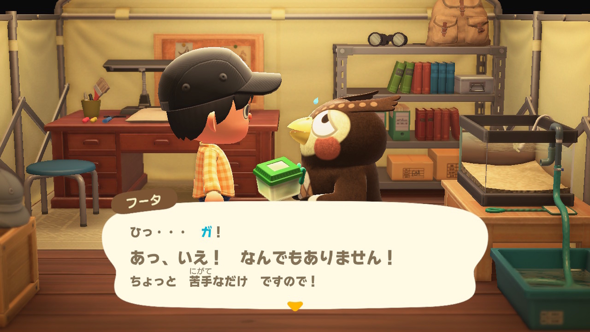 f:id:megane3gou:20200321185139j:plain f:id:megane3gou:20200321185139j:plain