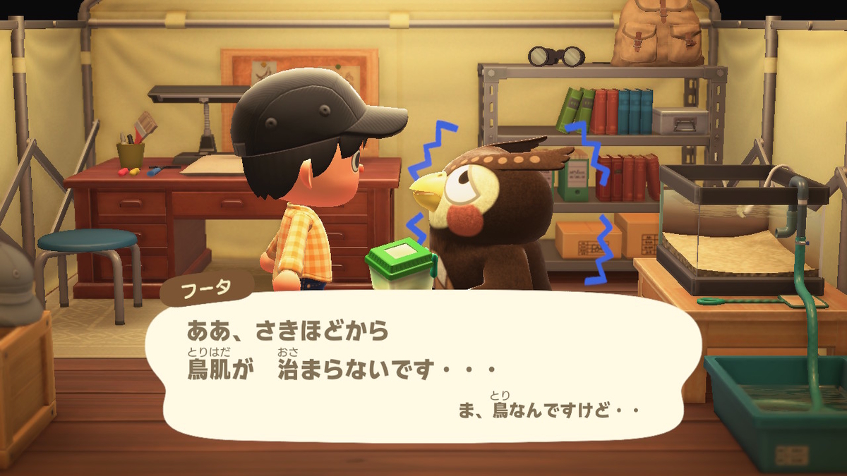 f:id:megane3gou:20200321185142j:plain f:id:megane3gou:20200321185142j:plain