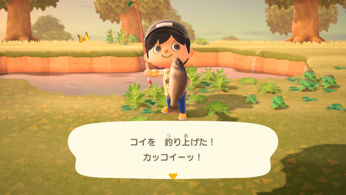 f:id:megane3gou:20200321192053j:plain f:id:megane3gou:20200321192053j:plain