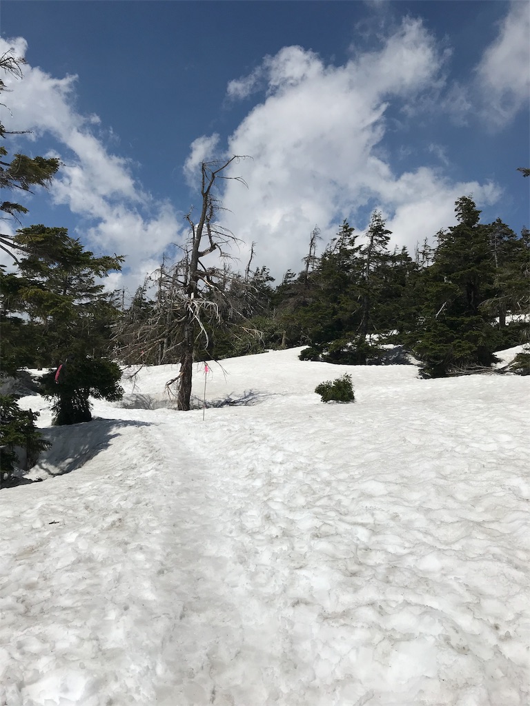 f:id:megane4649:20190524163505j:image