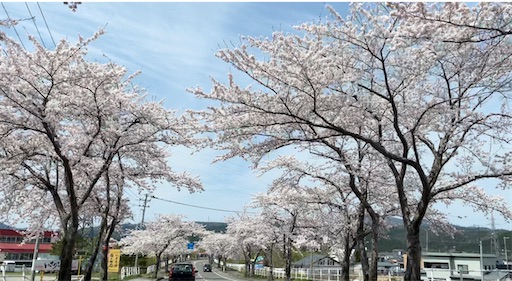 f:id:megane4649:20210424130125j:plain