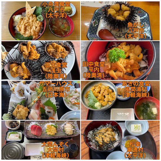 f:id:megane4649:20220407205035j:plain