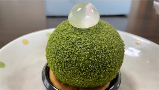 青森県八戸市 時空の苔玉
