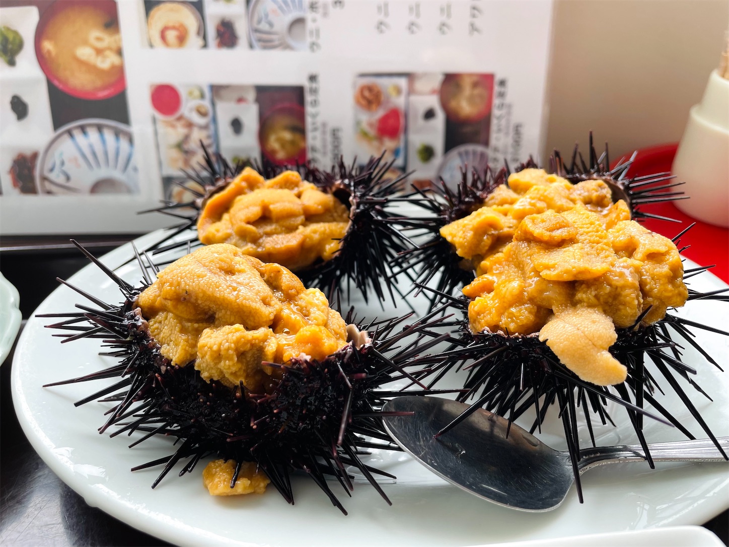 青森県浅虫/【青森ランチ】正立食堂さんのうに御膳を食べて来ました