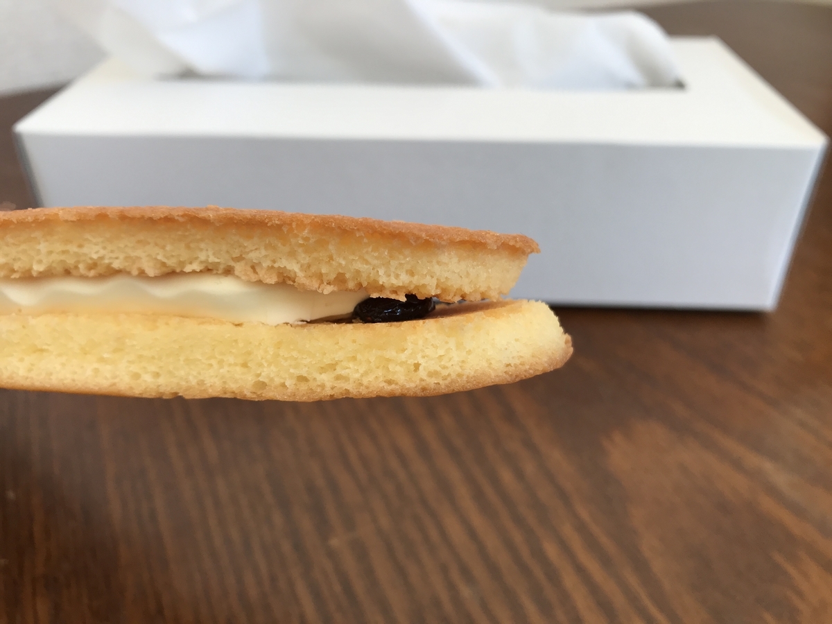 f:id:megane_teacher:20200207143603j:plain