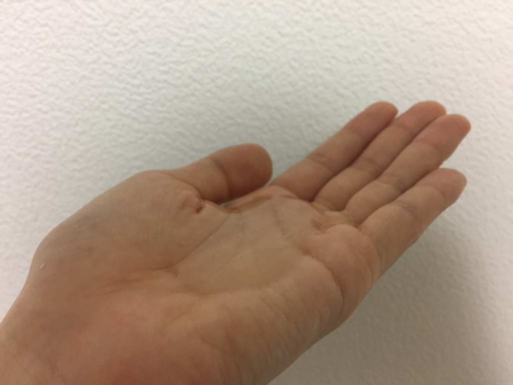 f:id:meganedia:20170524221126j:plain f:id:meganedia:20170524221126j:plain