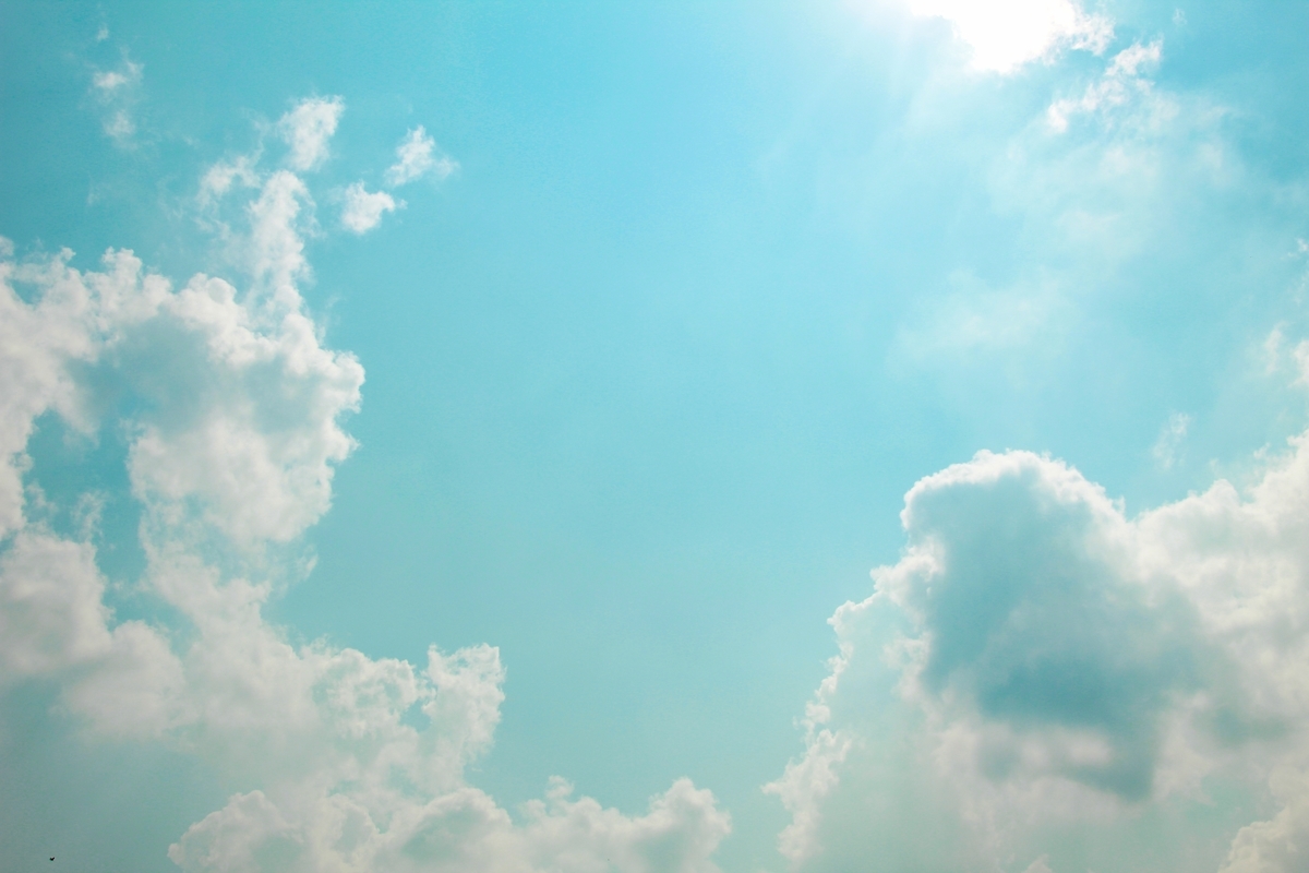 f:id:meganedia:20190314221829j:plain