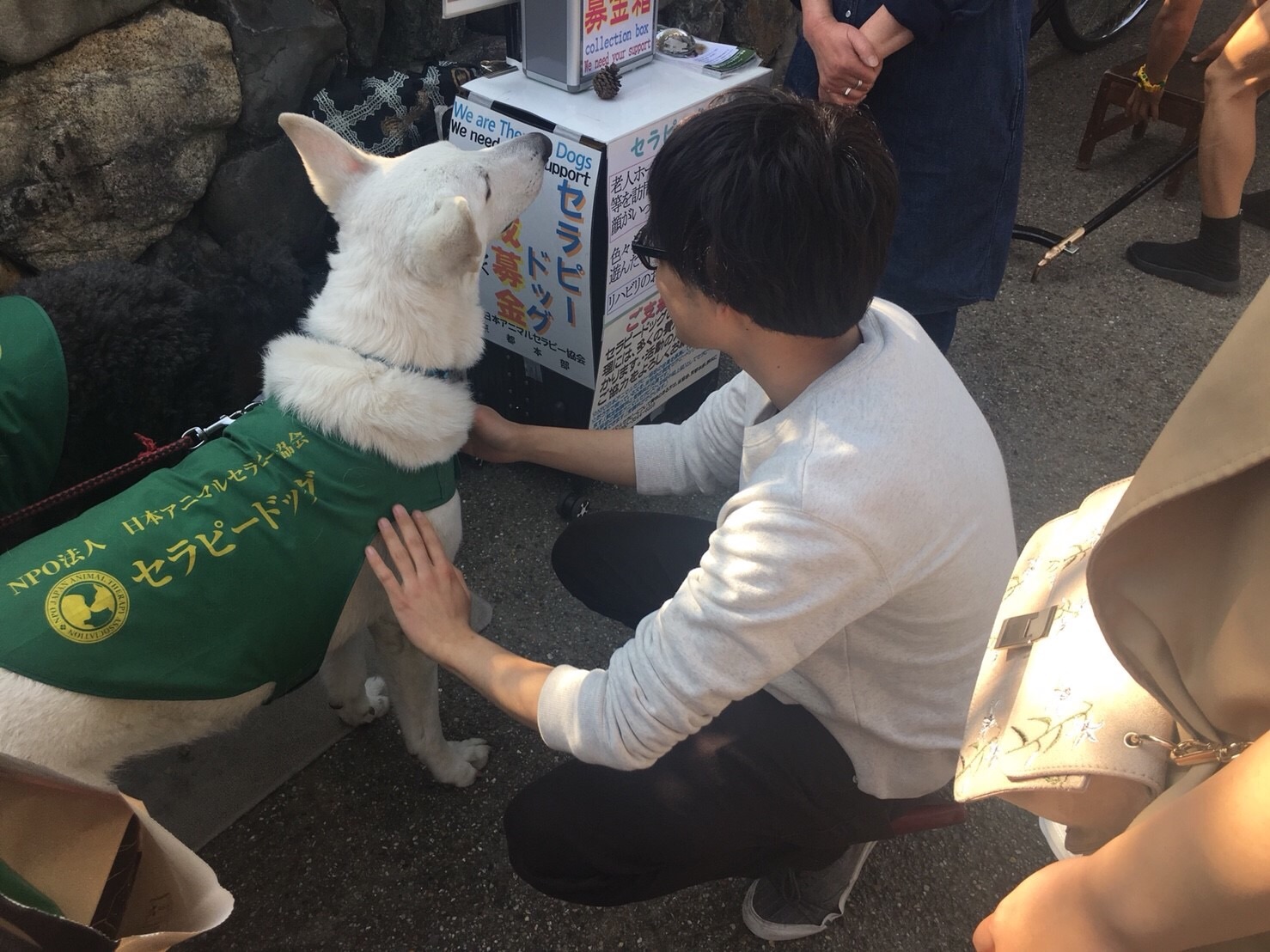 f:id:meganekagami:20190107162851j:image f:id:meganekagami:20190107162851j:image