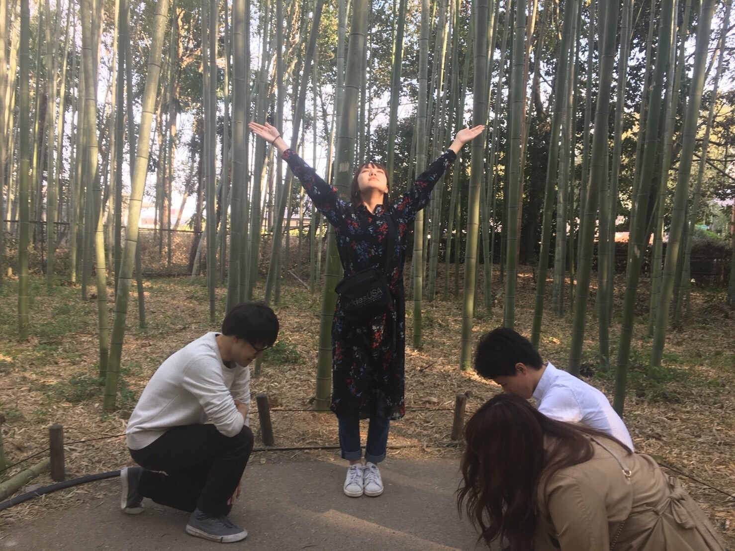 f:id:meganekagami:20190107163649j:image f:id:meganekagami:20190107163649j:image