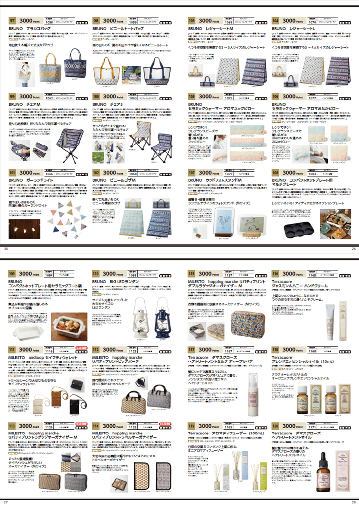 イデア　IDEA 株主優待カタログ 24000ポイント