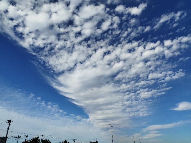 f:id:meganerobo:20221006201948j:image