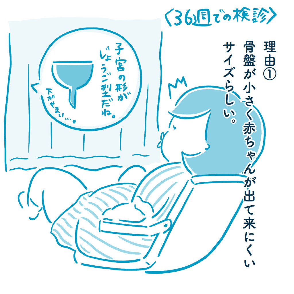 f:id:meganewane-akai:20181024114907j:plain