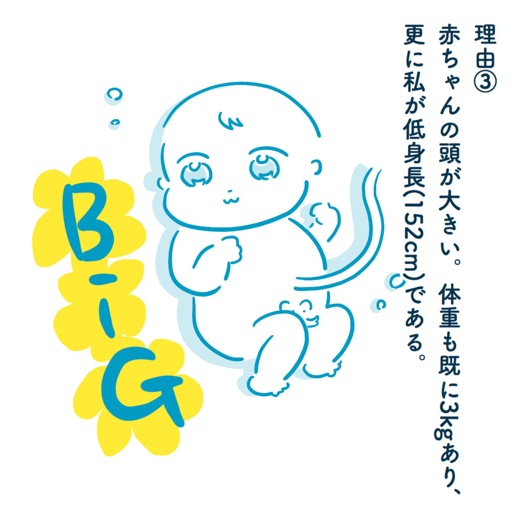 f:id:meganewane-akai:20181024115047j:plain