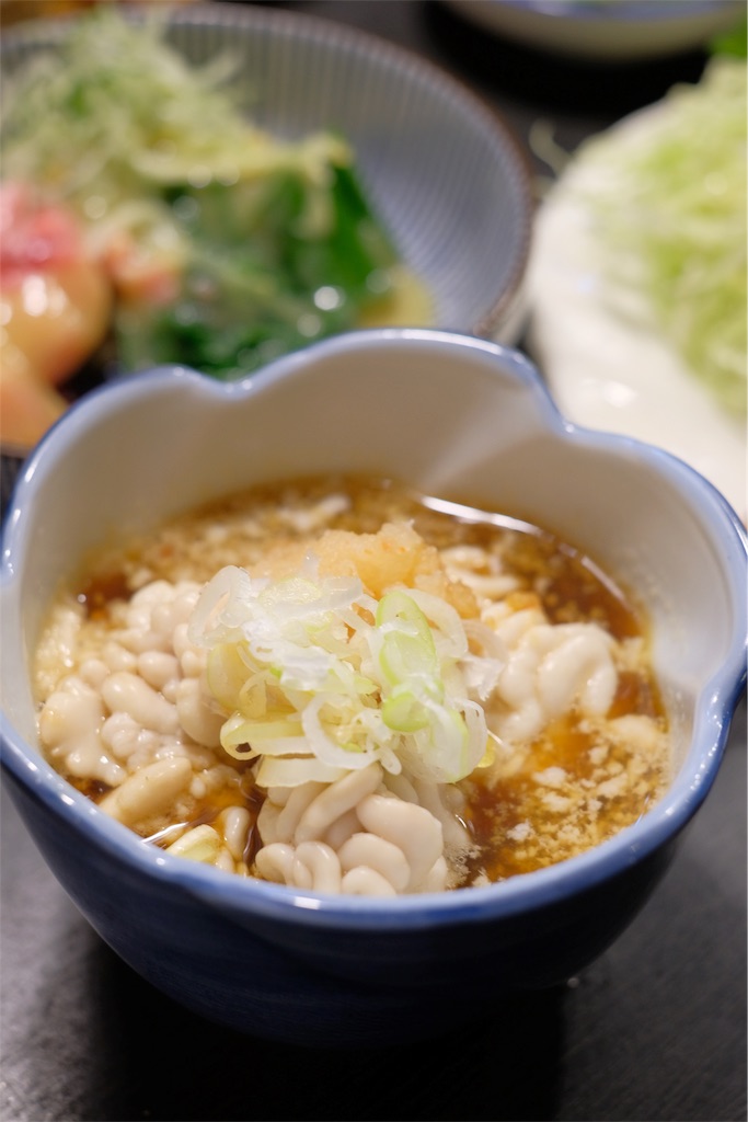 f:id:meganeya-moai:20190123105613j:plain