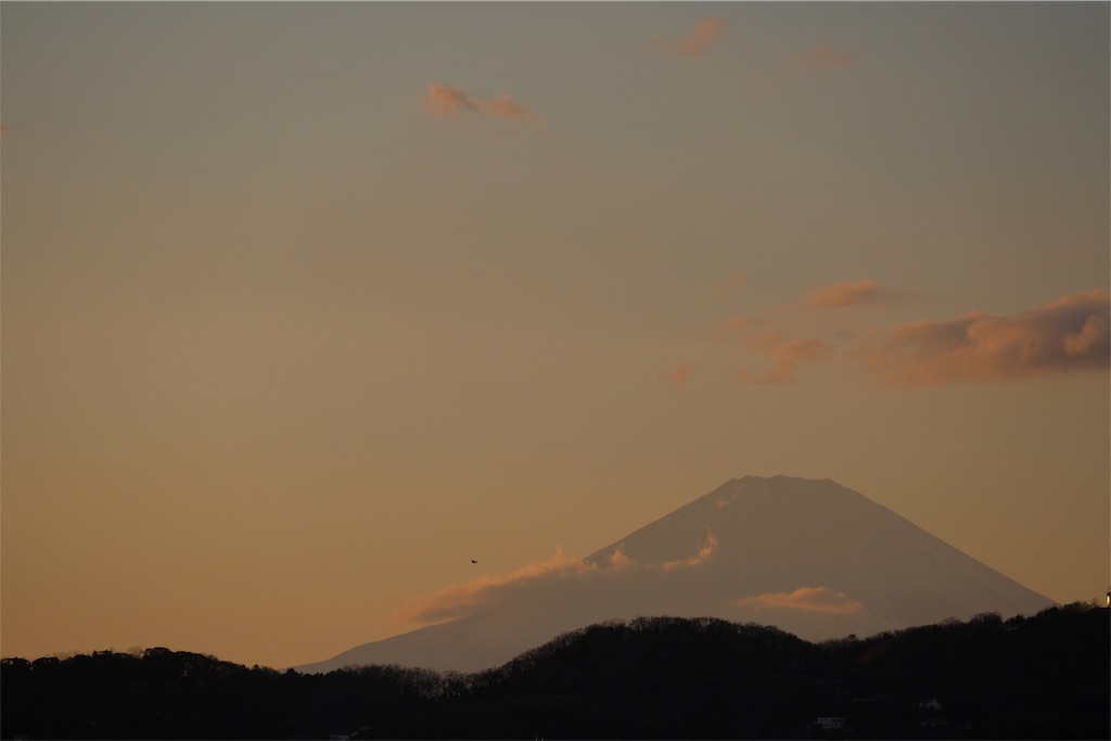f:id:meganeya-moai:20190204101216j:image