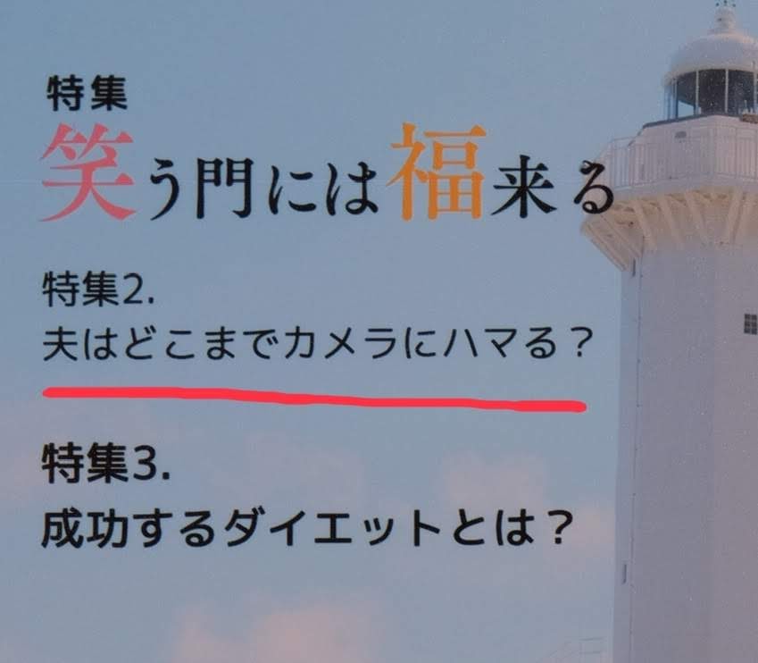f:id:meganeya-moai:20190204175807j:plain