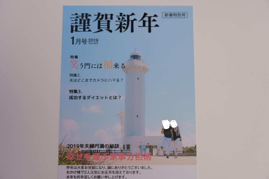 f:id:meganeya-moai:20190204181925j:plain
