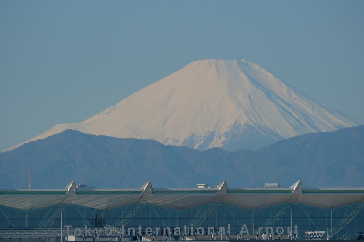 f:id:meganeya-moai:20200109090657j:plain